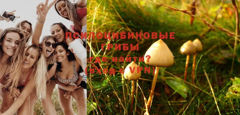 Галлюциногенные грибы Magic Shrooms  Чусовой 